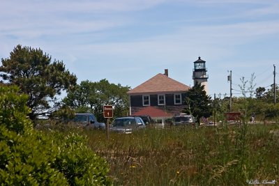 CRW_7359.jpg