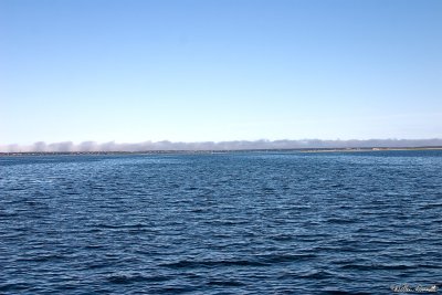 CRW_7413.jpg