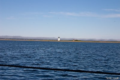 CRW_7432.jpg