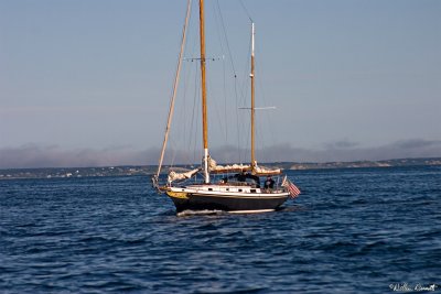 CRW_7445.jpg