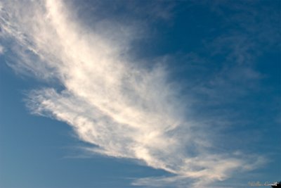 CRW_7522.jpg