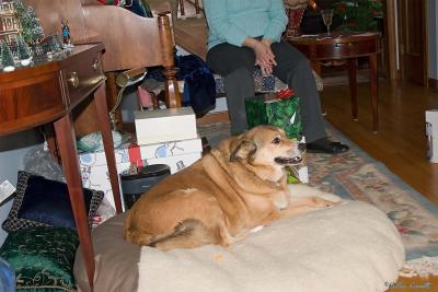 CRW_8228.jpg