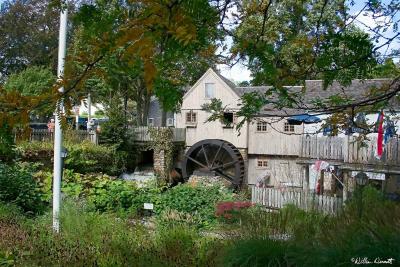 CRW_7718.jpg