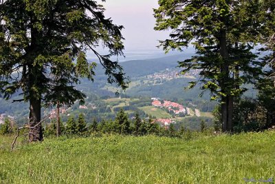 CRW_0015.jpg