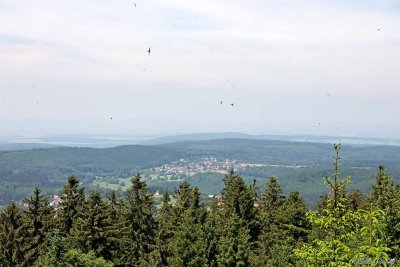 CRW_0020.jpg