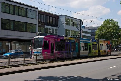 CRW_0047.jpg