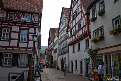 CRW_0087.jpg