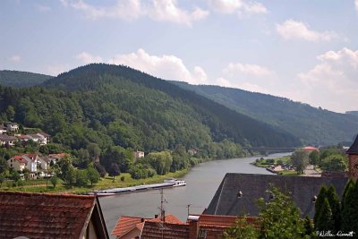 CRW_0092.jpg