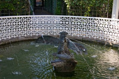 CRW_0135.jpg
