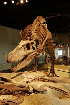 7-080813-10-Chicago-Field Museum.jpg