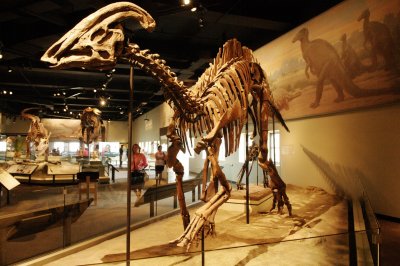 7-080813-11-Chicago-Field Museum.jpg