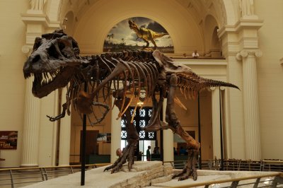 7-080813-15-Chicago-Field Museum.jpg