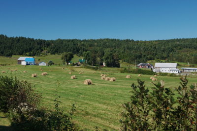 080901-05-Paysages Beauce.jpg