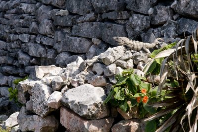 090403-121-Tulum.jpg