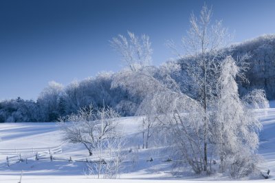 Le Québec en Hiver /  Quebec in Winter