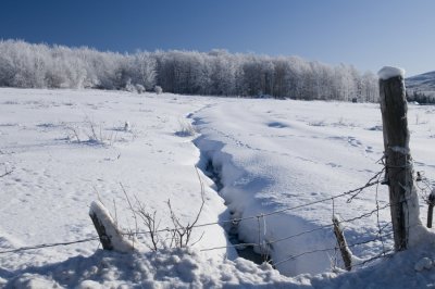 g3/33/475133/3/120955448.W2pUVhjs.jpg