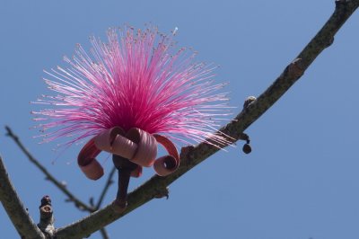 100327-141-Dunn's River-Jamaica.jpg