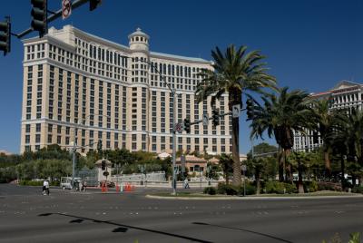 g3/33/475133/3/58753879.06040908VegasBellagio.jpg