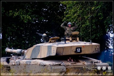 C2 posing.jpg