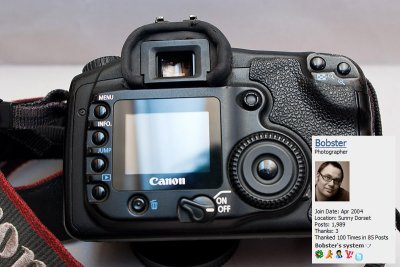 20D Rear H.jpg