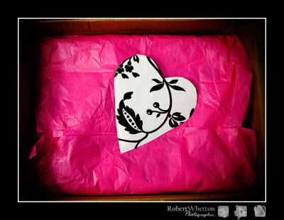 Packaged.jpg