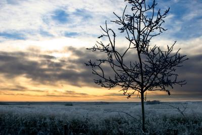 Winter Sky