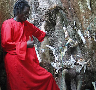 senegal