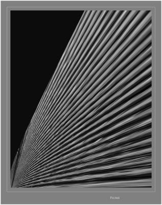 EPqV0018.jpg