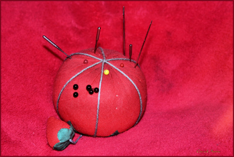 Red on Red Pincushion