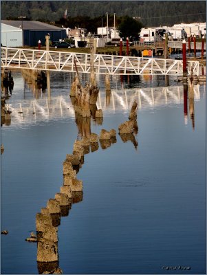 Florence OR Marina Reflections.jpg