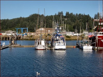 WB Fish Boats  Sea Gull2.jpg