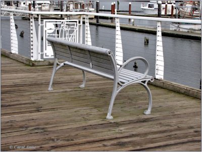 Bench in Marina