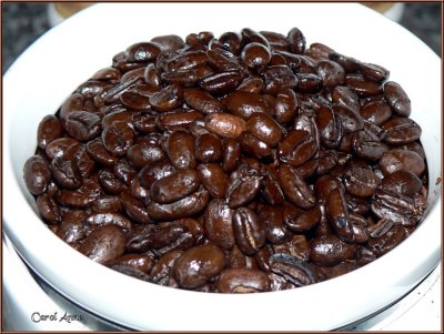 Coffee Beans Rainforest Shade Grown