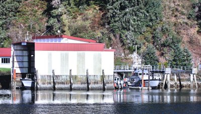 Fish Boats Commercial Winchester Bay Oregon