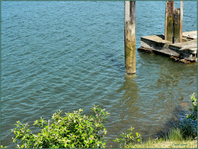 Umpqua River Old PIlings and Old Tie up dock