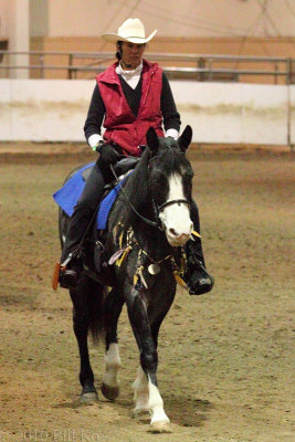 2010-01-15 nokota horse 008.jpg