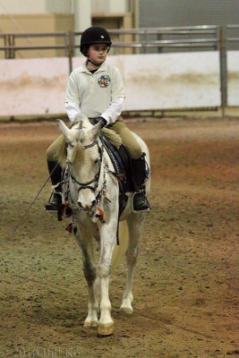2010-01-15 nokota horse 009.jpg