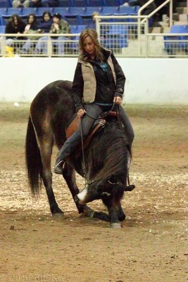 Dr. Suzanne Myers - Alternative Horsemanship