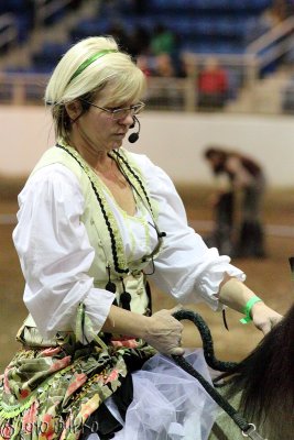 Karen Orloff-Yatsko/Dorothy Snedden - Paso Fino Musical Freestyle/Soccer