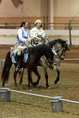 2010-01-15 paso fino 007.jpg