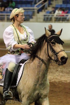 2010-01-15 paso fino 017.jpg