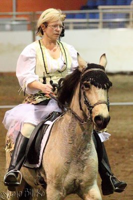 2010-01-15 paso fino 024.jpg