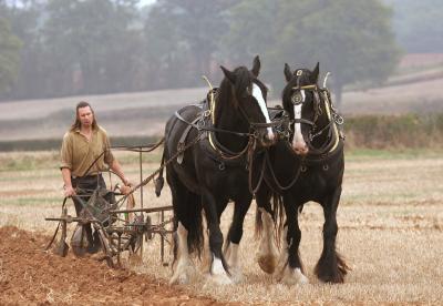 Trumpet Ploughing Match 2005