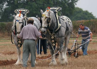 Trumpet Ploughing Match