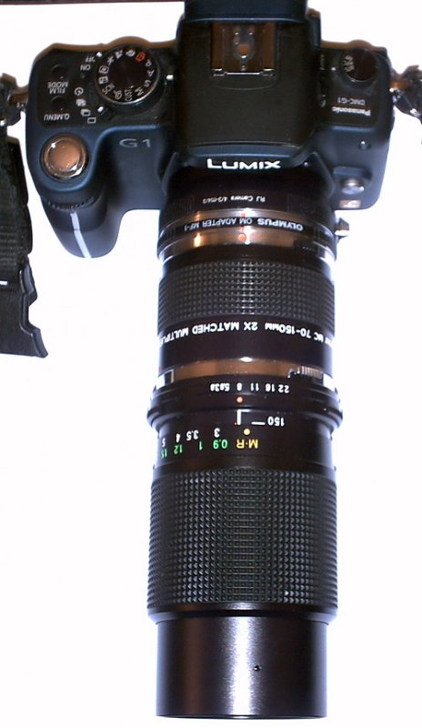 G1 and Vivitar macro combo.jpg