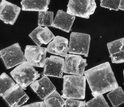 salt crystals.jpg