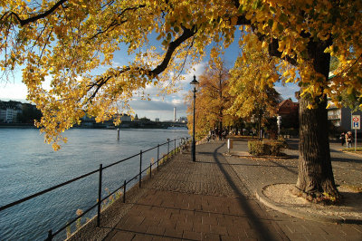 Rhine walk