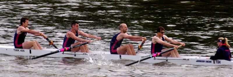 2008 - Chiswick Regatta - IMGP1355