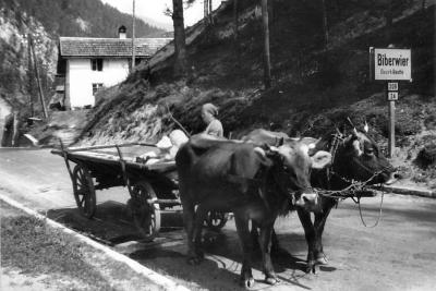 1947 Austria