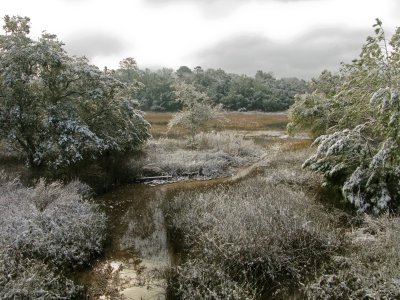 The great snow storm of 2/12/10